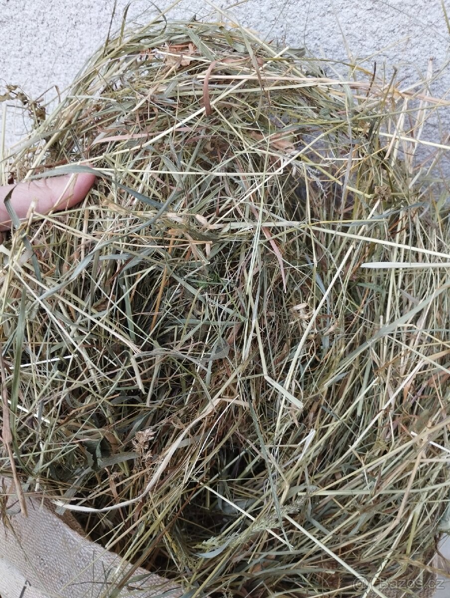 Seno, ručně sušené, pytlované - 3