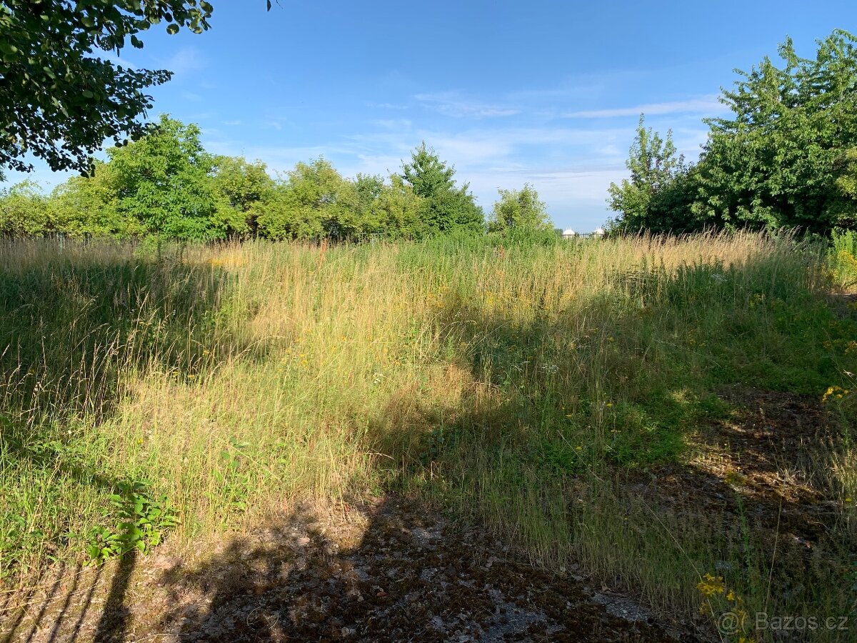 Údržba zeleně - 3