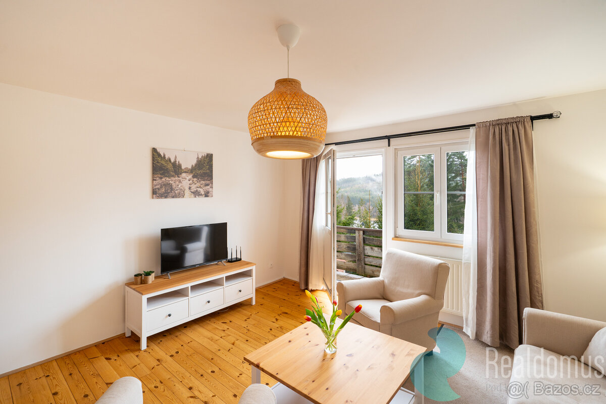 Prodej byt/apartmán 3+1 (67 m²) + 2 parkovací místa, Lipno n - 3