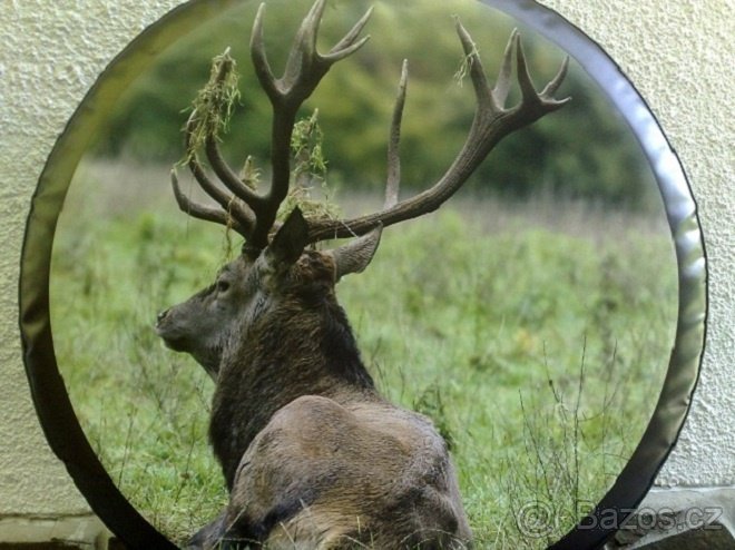 jimny,vitar,samurai,grand vitara - kryt na rezervu kolesa - 3