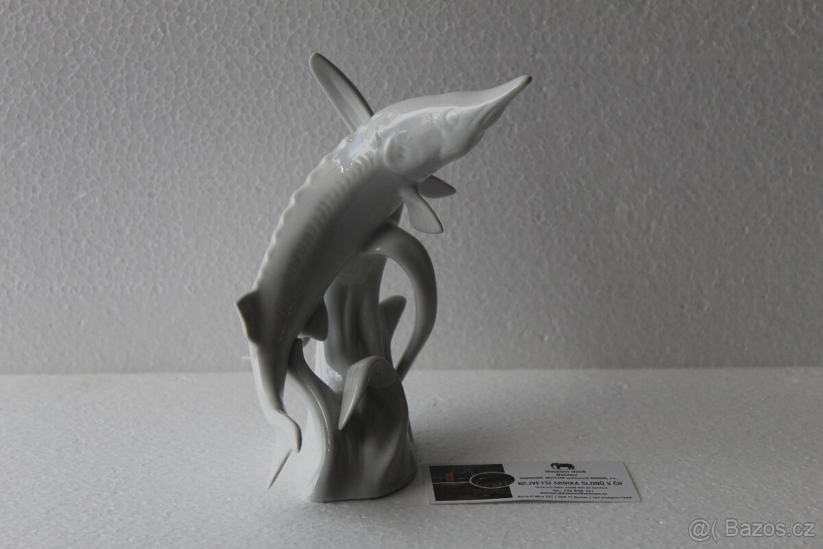 Jeseter Royal Dux - 3