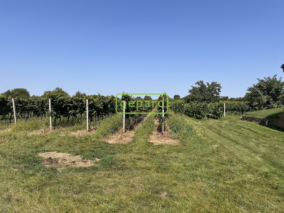 Prodej vinného sklepa, obec Prušánky, část Dolní Nechory - 3