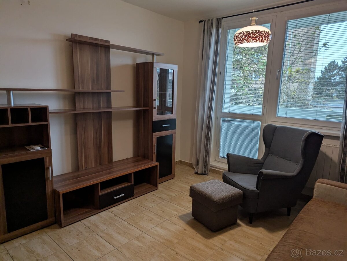 Pronájem bytu 1+1 33 m² U Splavu, Břeclav - 3
