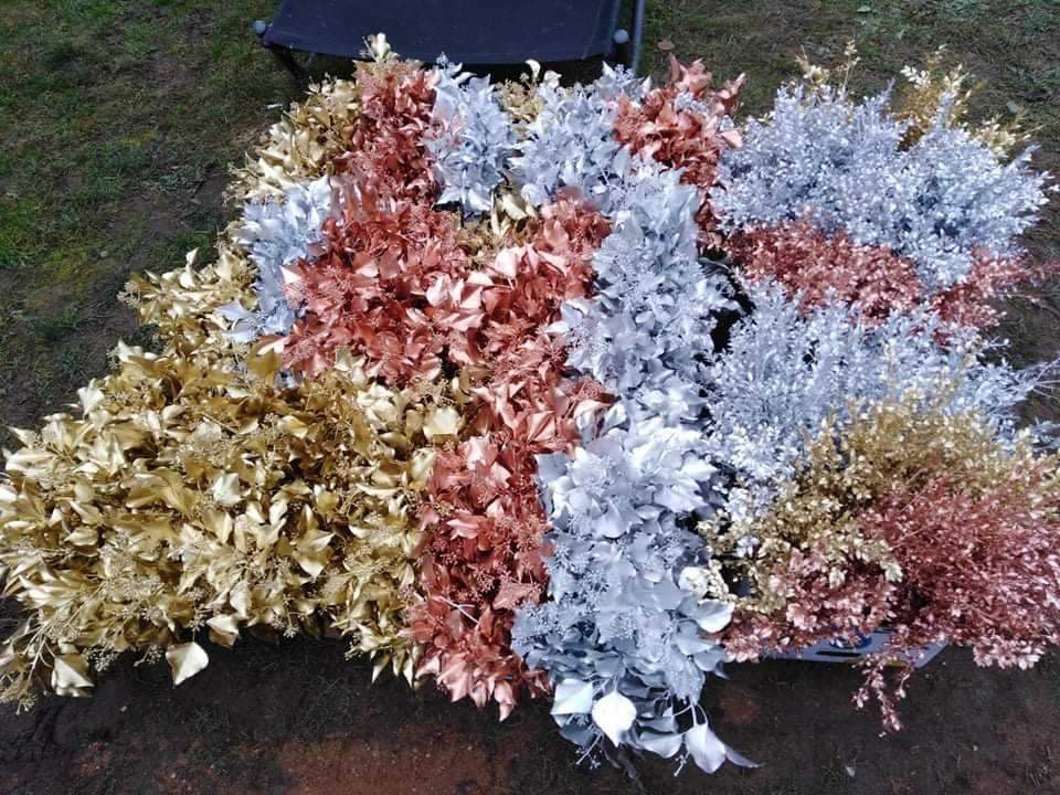 Prodej jmelí 2025🌿 - 3