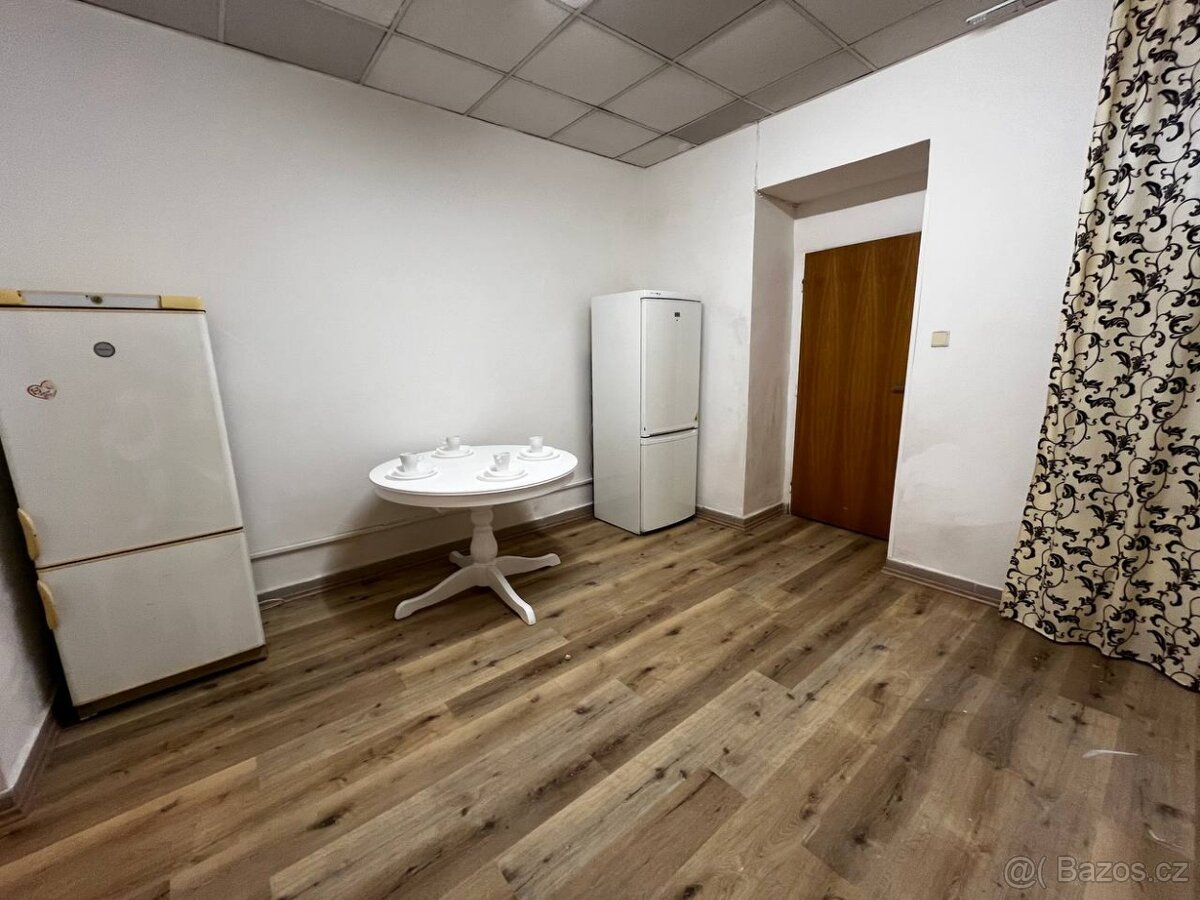 Pokoj pro pár v Žižkově - 3