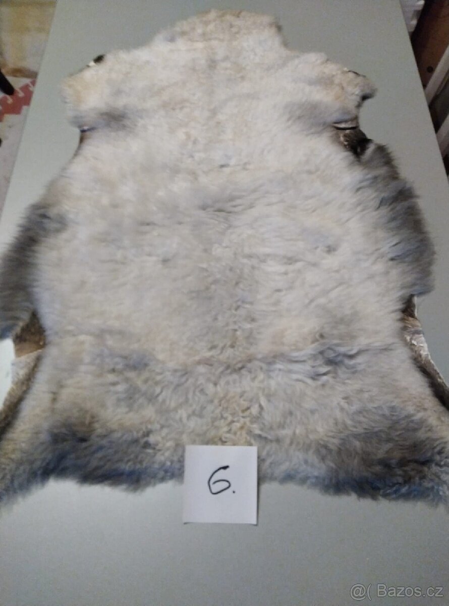 Prodám kožešiny z oveček - 3