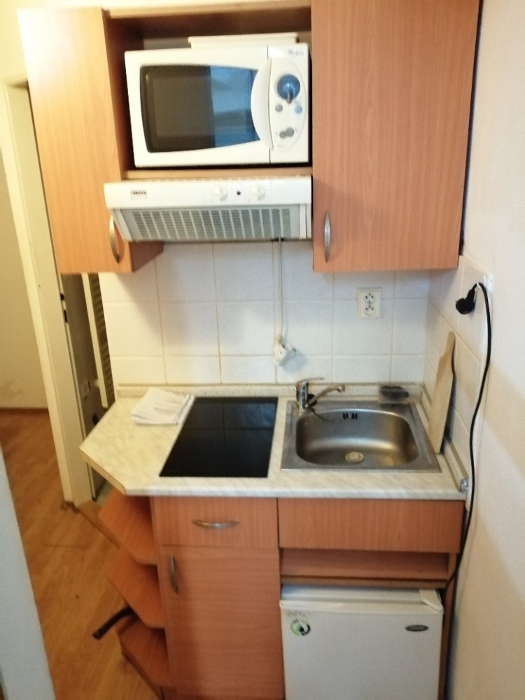 Pronájem 1+kk, ulice Údolní, centrum, 30 m2, klidný - 3