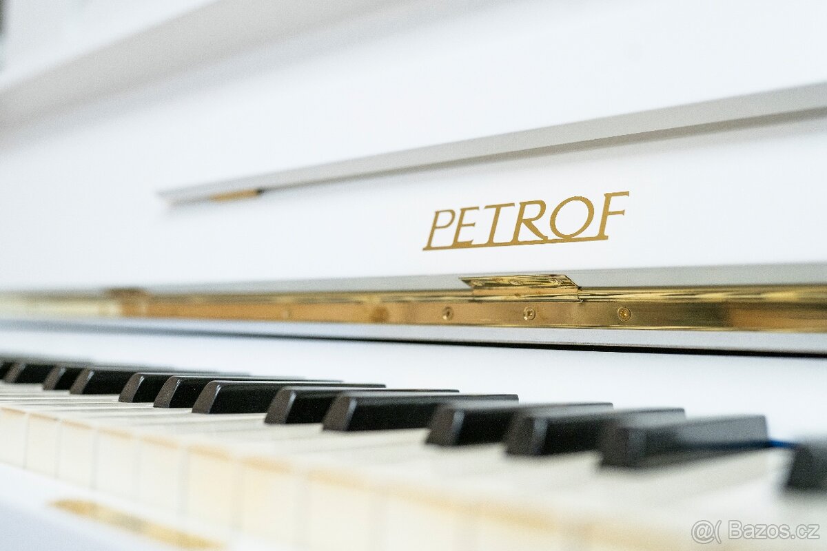 Petrof 117 Chippendale - 3