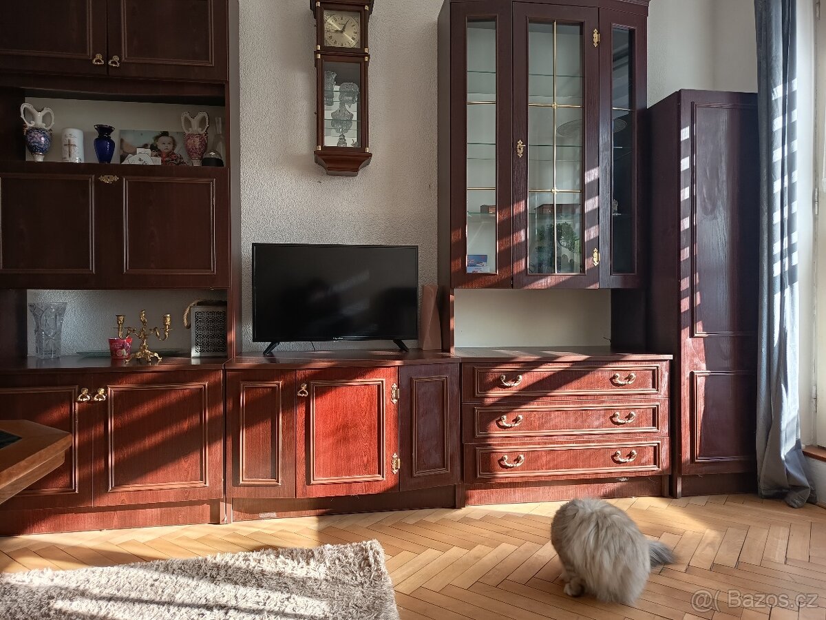 Starší obývací stěnu - 3
