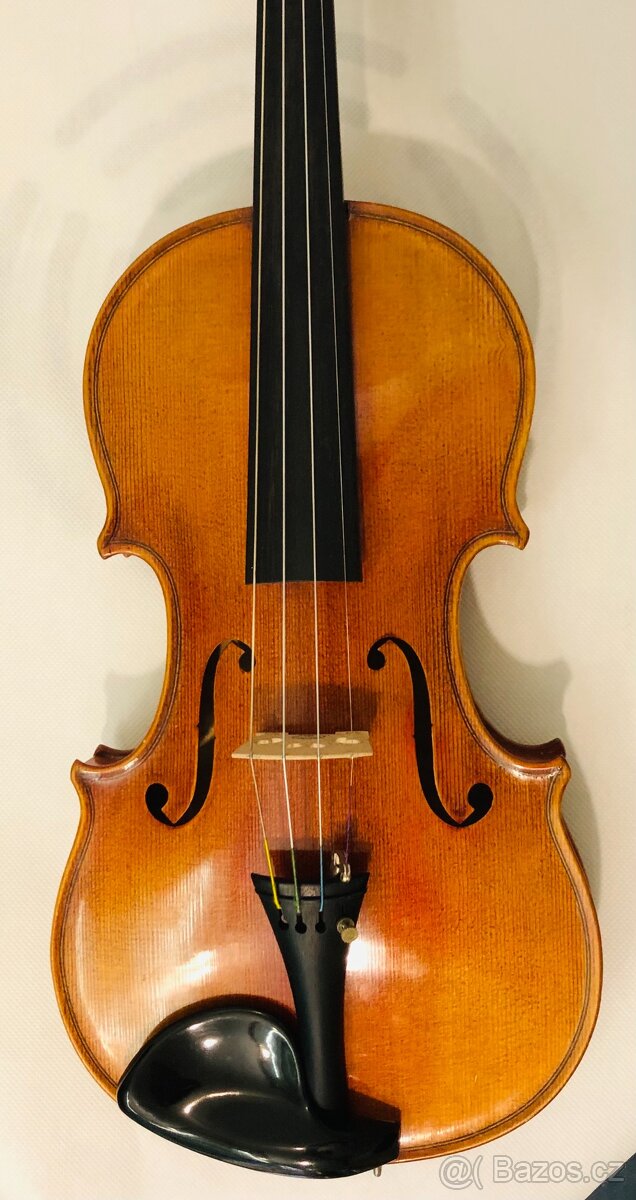 Housle 4/4 Schönbach 2. polovina 20. století - 3