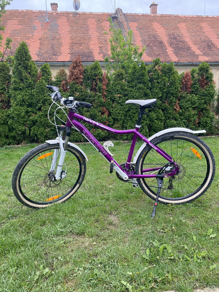 Author Agang Nikita 26" - 3