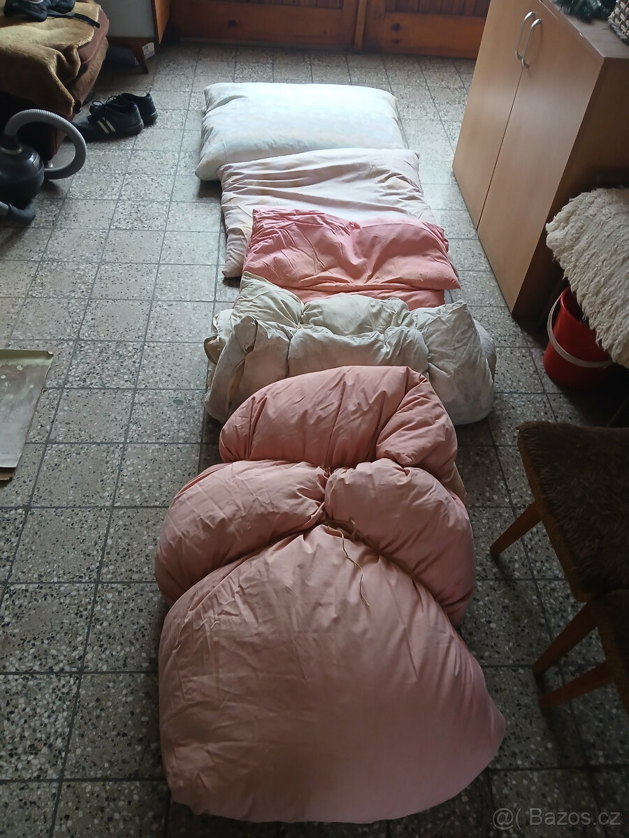 Zhlavce na peří - 3