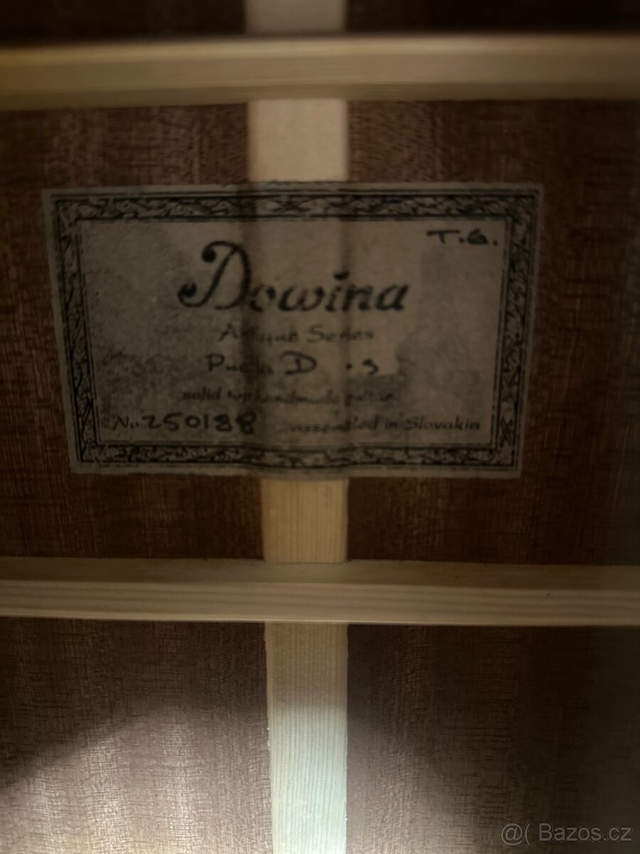 Kytara Dowina - 3