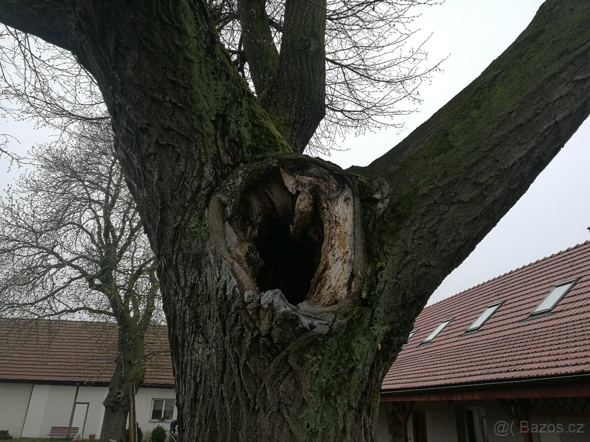 KOUPÍM dřevo na topení - 3