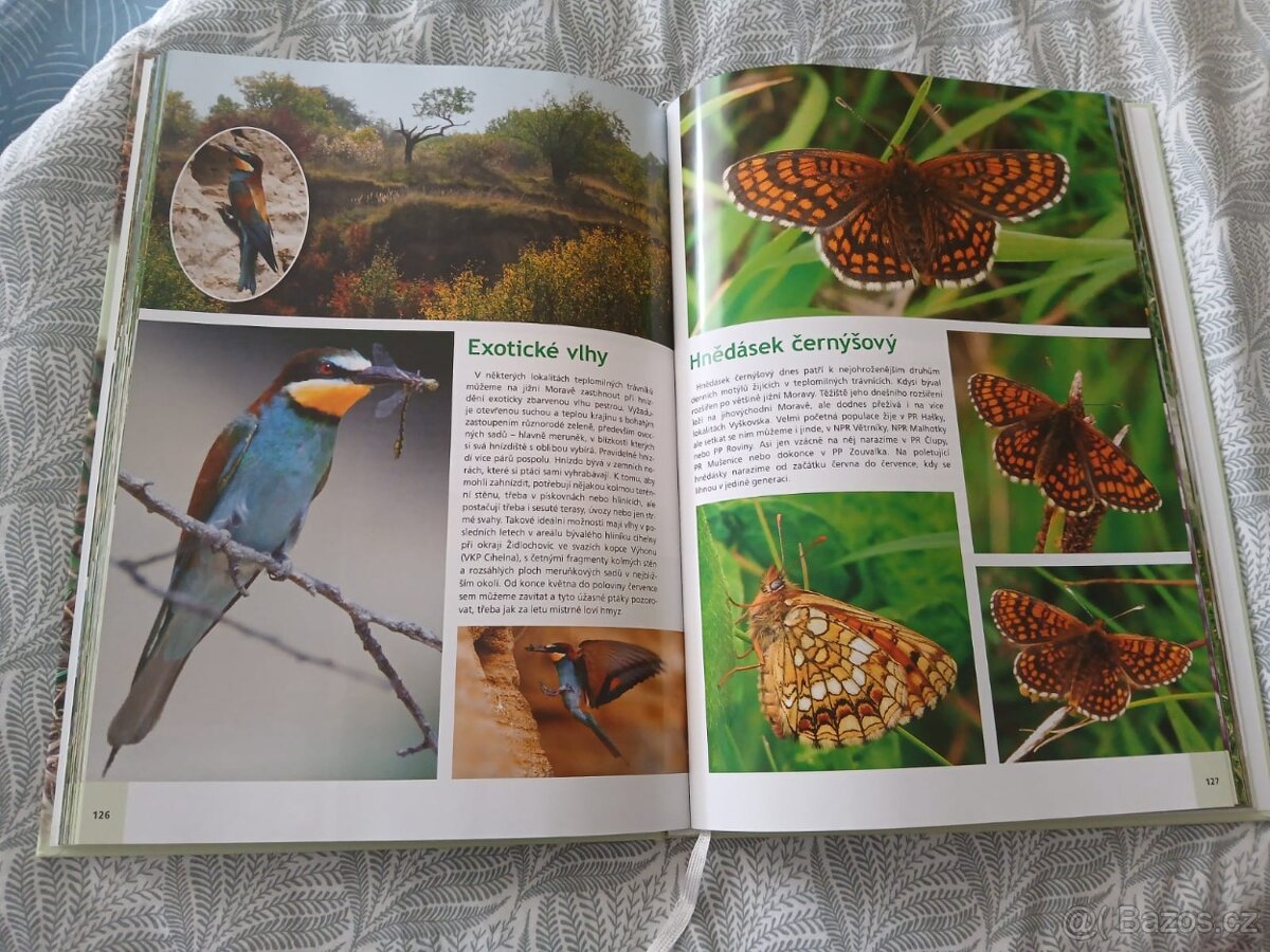 Prodám dětskou knihu - 3