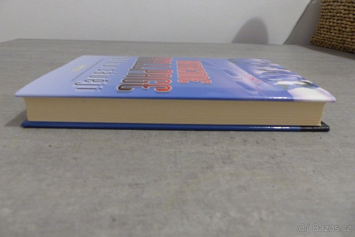 Katherine Hall Page - Tělo v závěji - 3