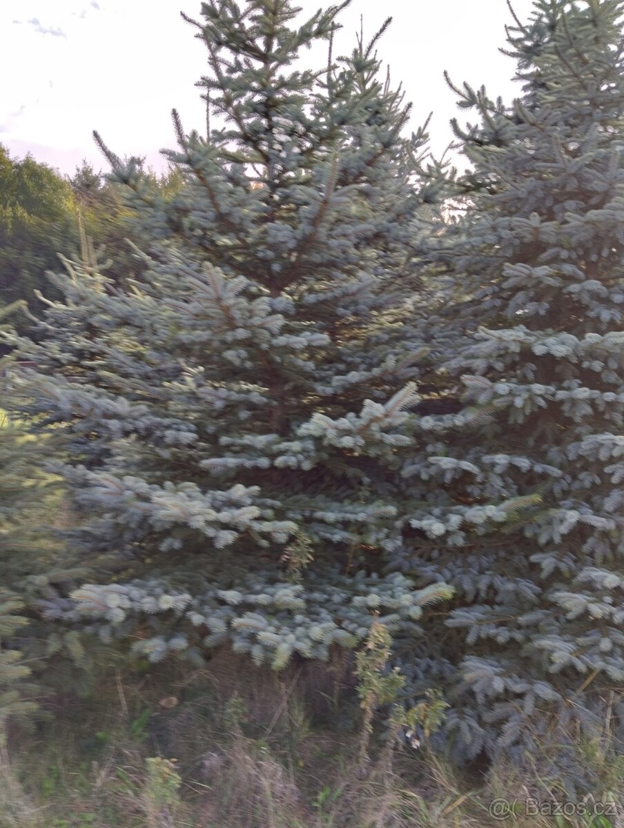 vanočni stromek velky - 3