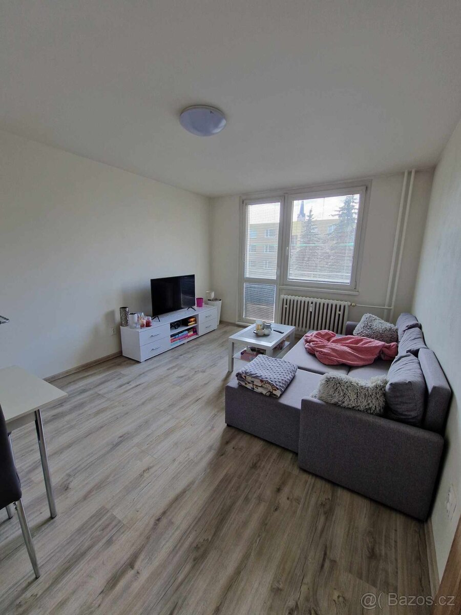 Pronájem bytu 2+1 Mohelnice - 3