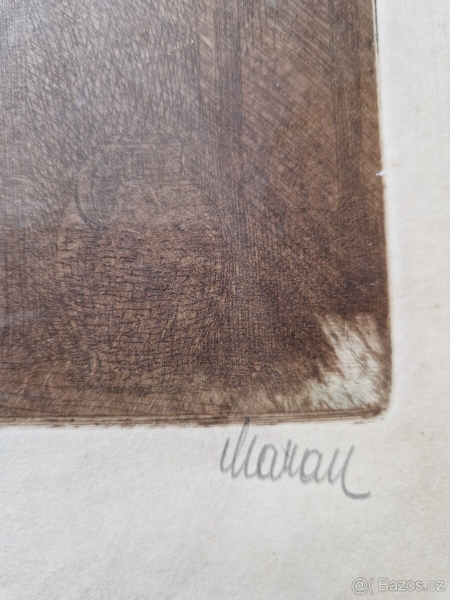 Stařena s kočkou - 3