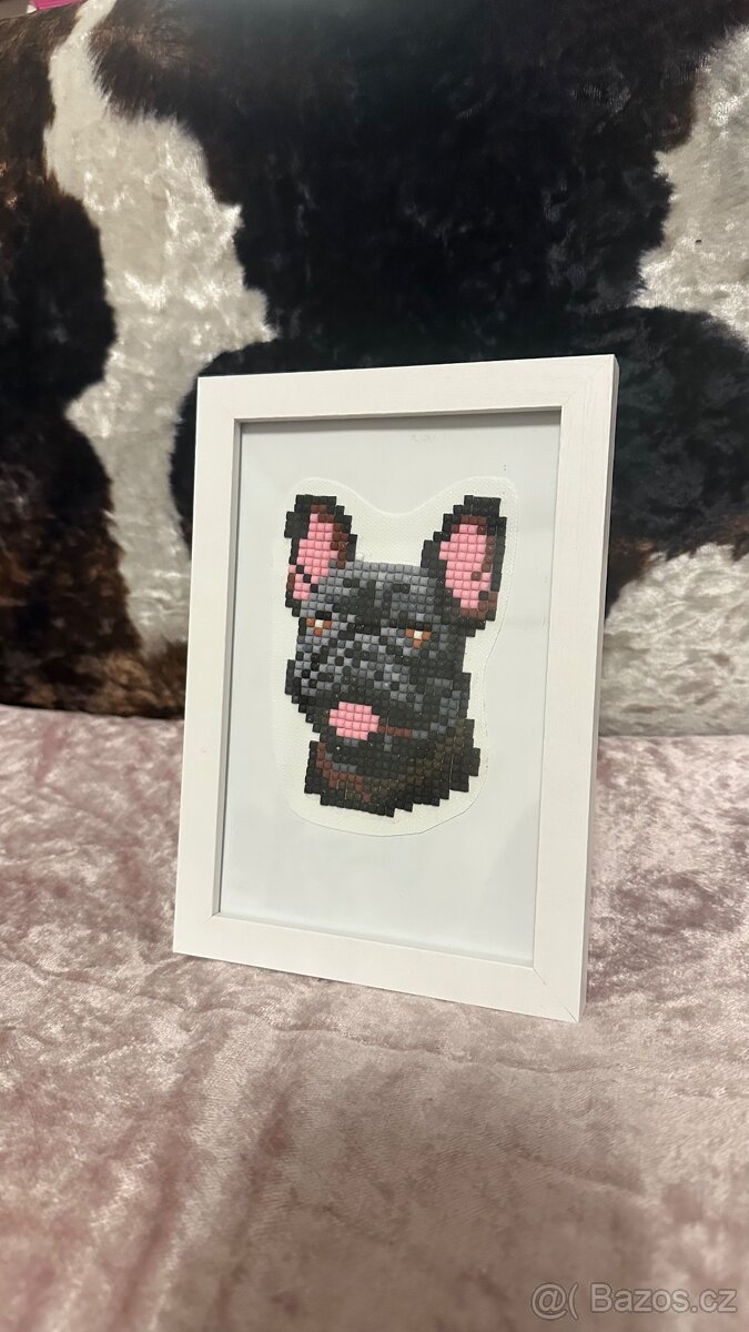 Obrázek rotvajlera/ jorkšíra/ buldočka - 3