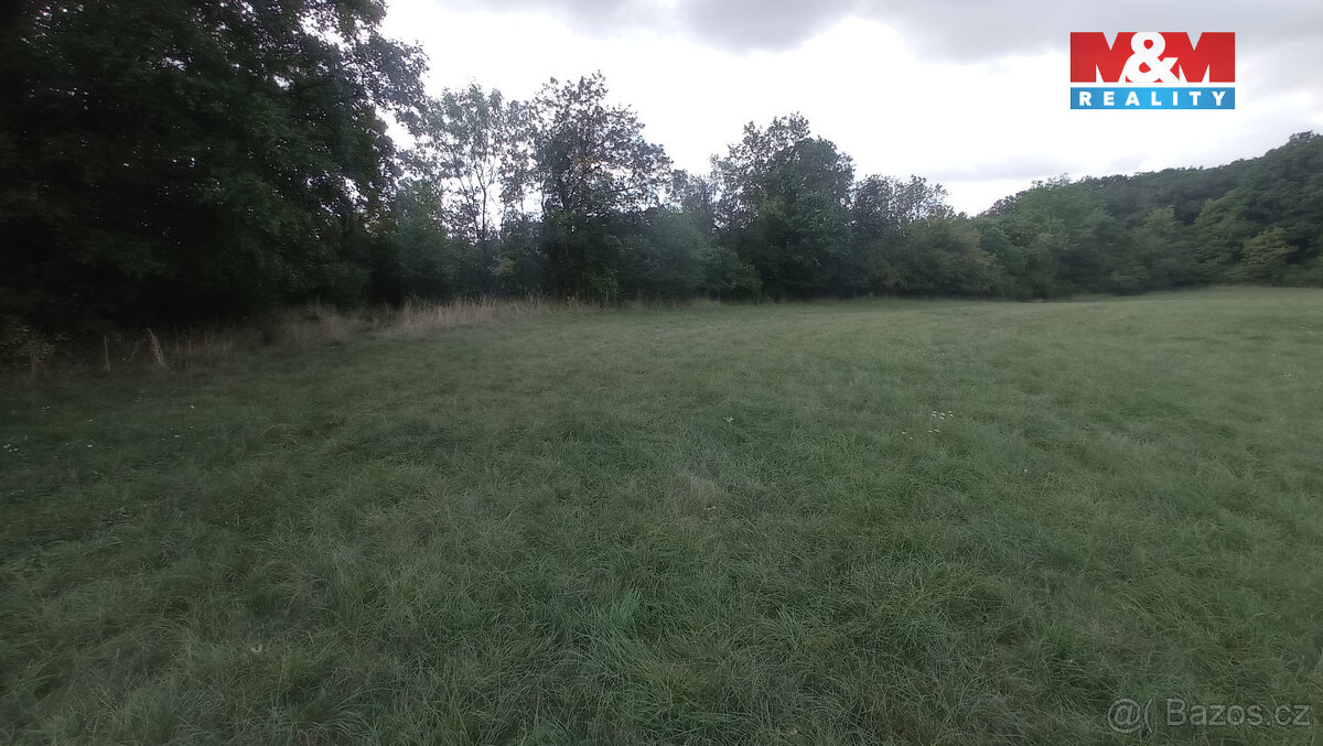 Prodej louky, 12373 m², Jenčice - 3