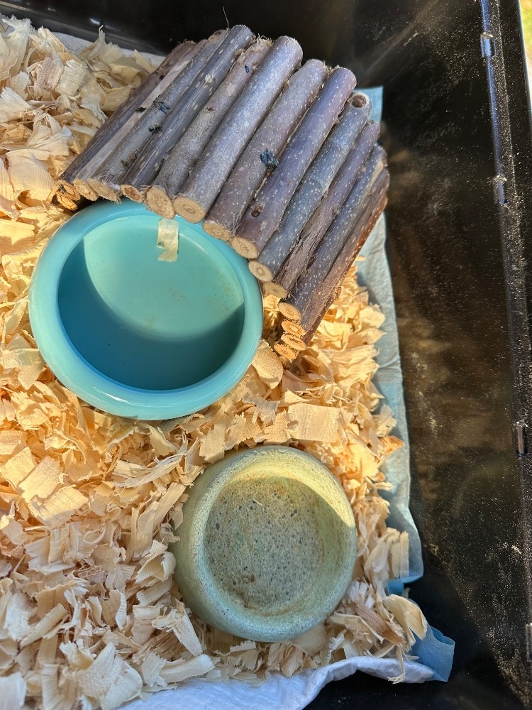 klec pro zvířata - 3