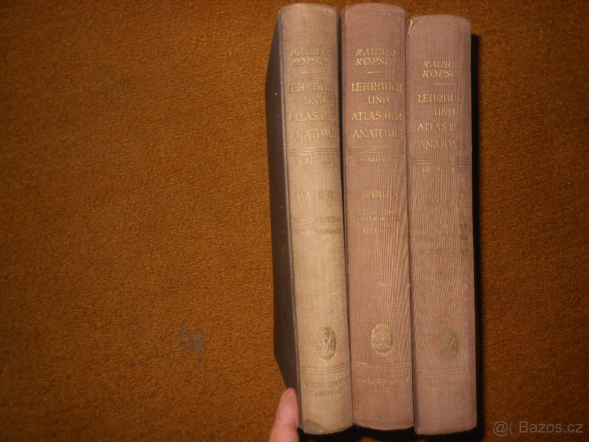 Staré knihy Anatomie člověka - 3