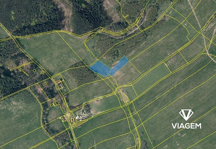 Pole 5 208 m², Podíl 19 % o výměře 977 m² - 3