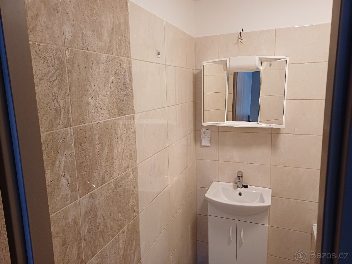 Nabídka pronájmu - 3