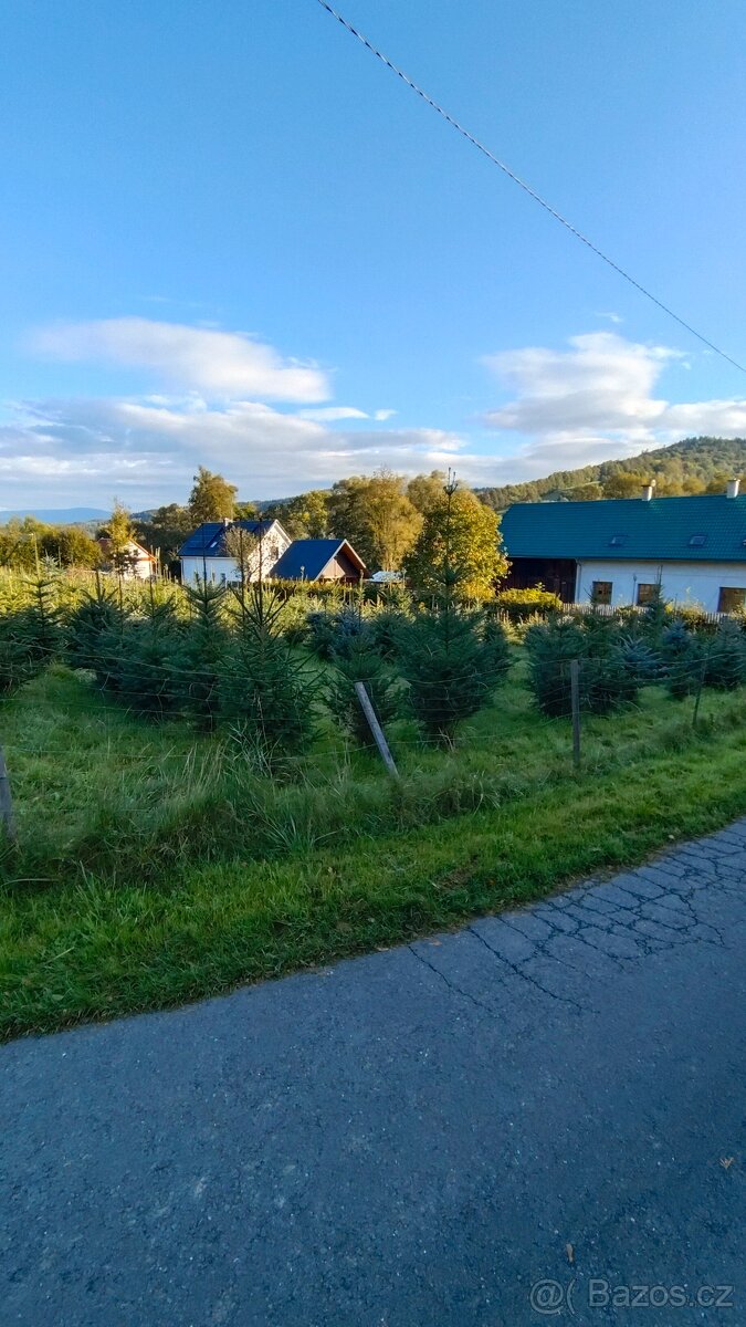 Vanoční stromek - 3