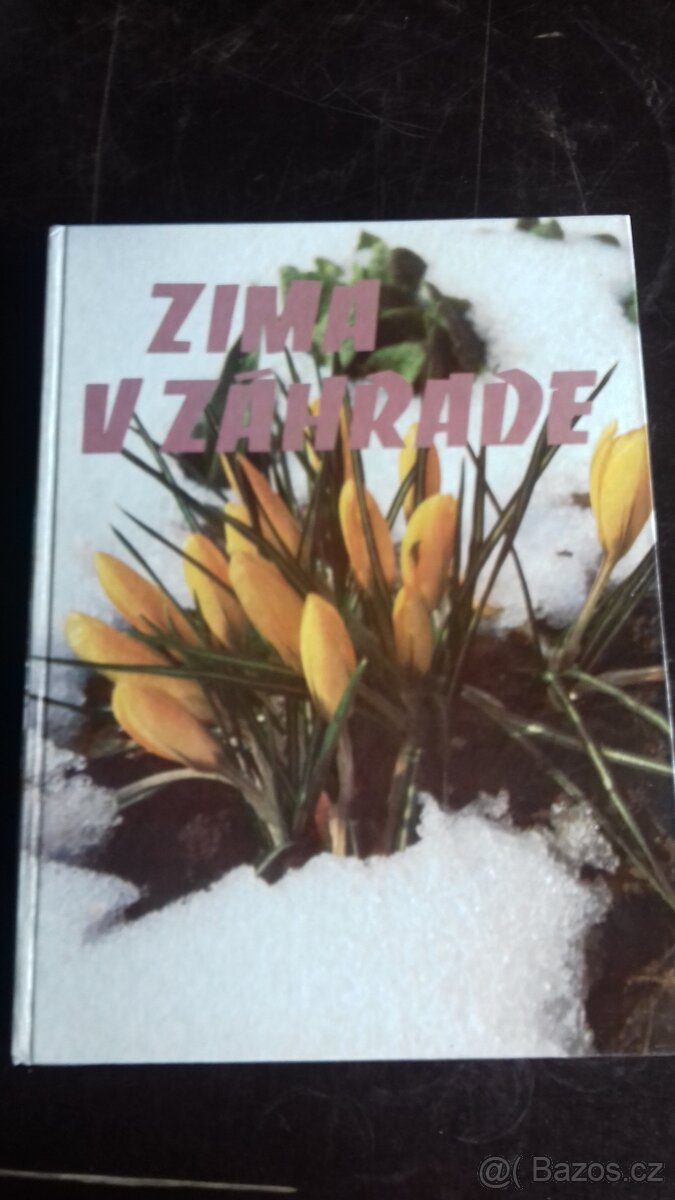 Jaro ,podzim, Zima na zahradě - 3