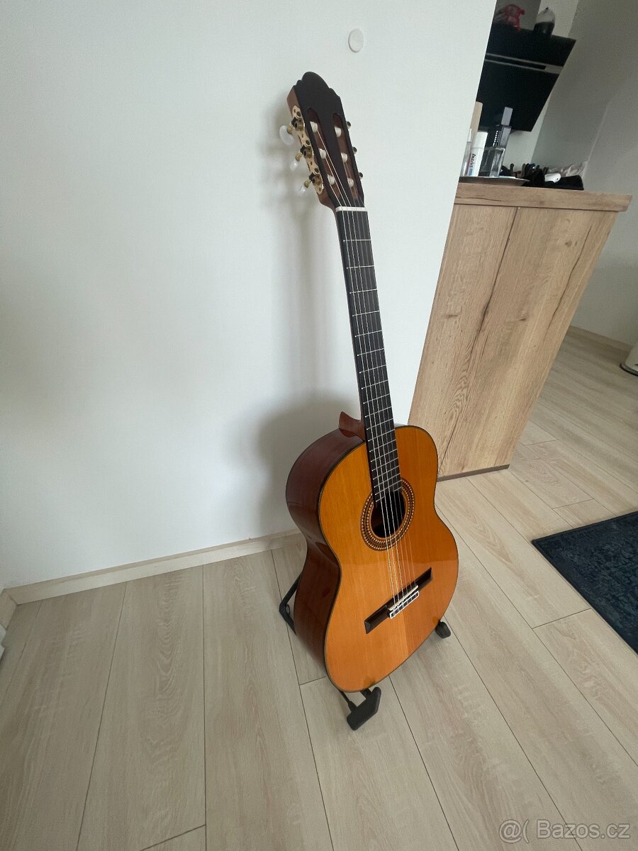 Kytara Pablo Vitaso VCG-40C - 3
