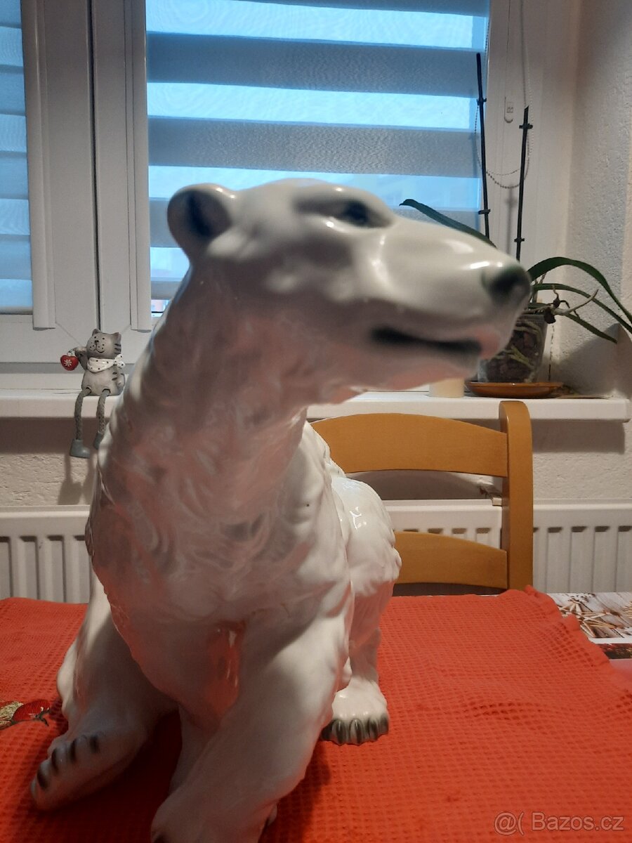 Velký lední medvěd - 3