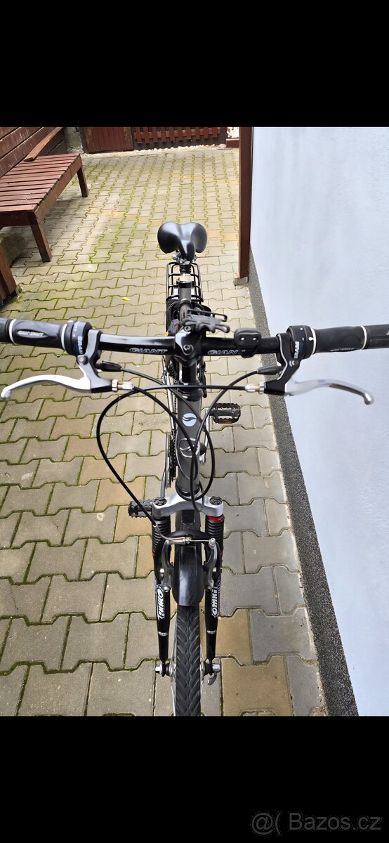 Kolo Giant Queens Park - 3