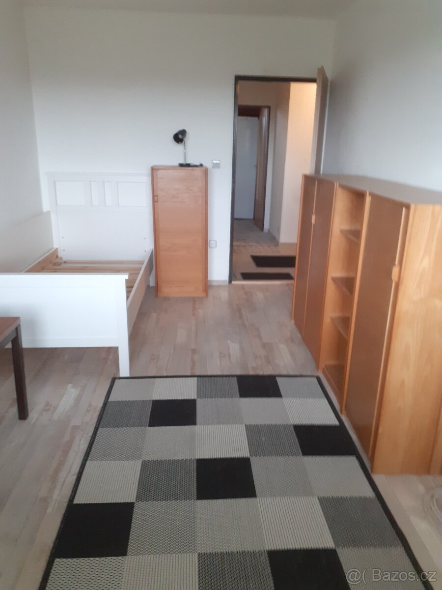 Podnájem 1.patra RD UH-Mařatice - 3