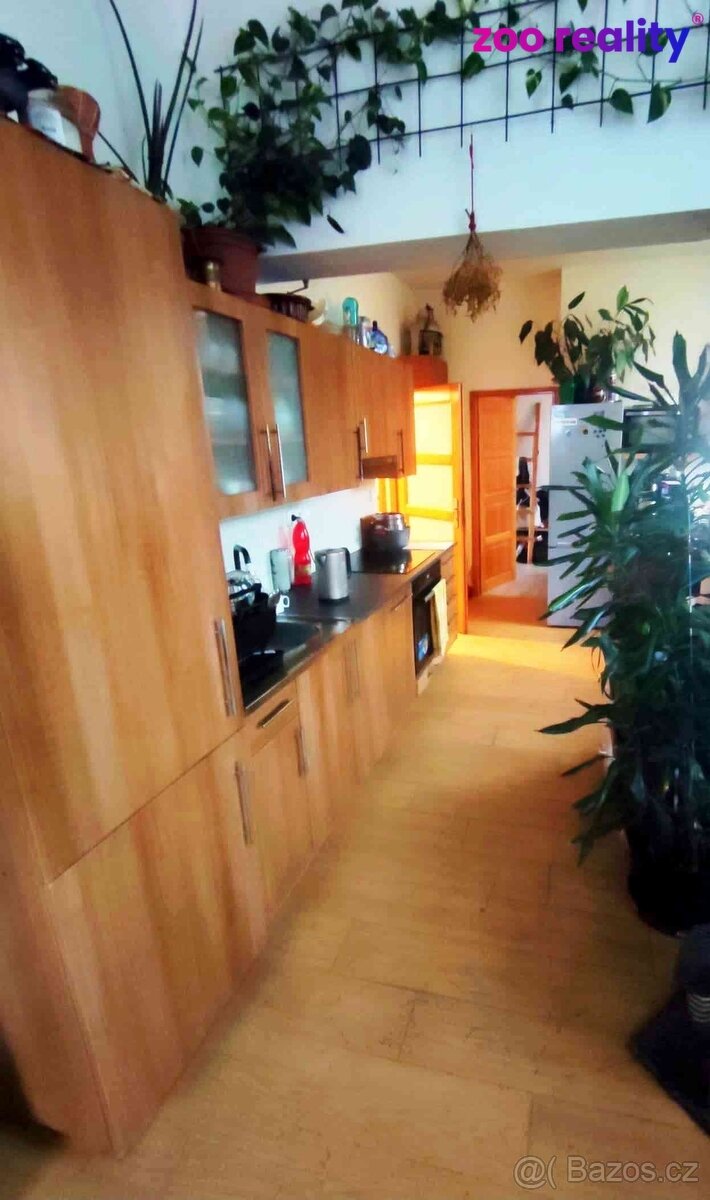 Prodej, zděný byt 3+kk, Trutnov - 3