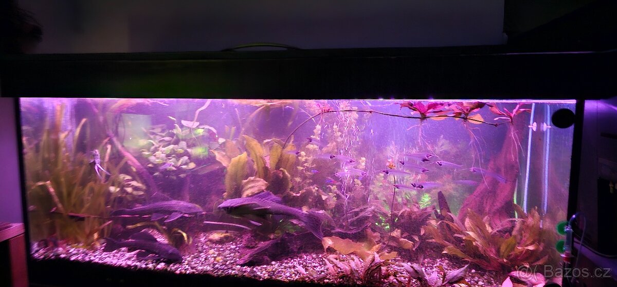 Kompletni akvarijni set 540l - 3