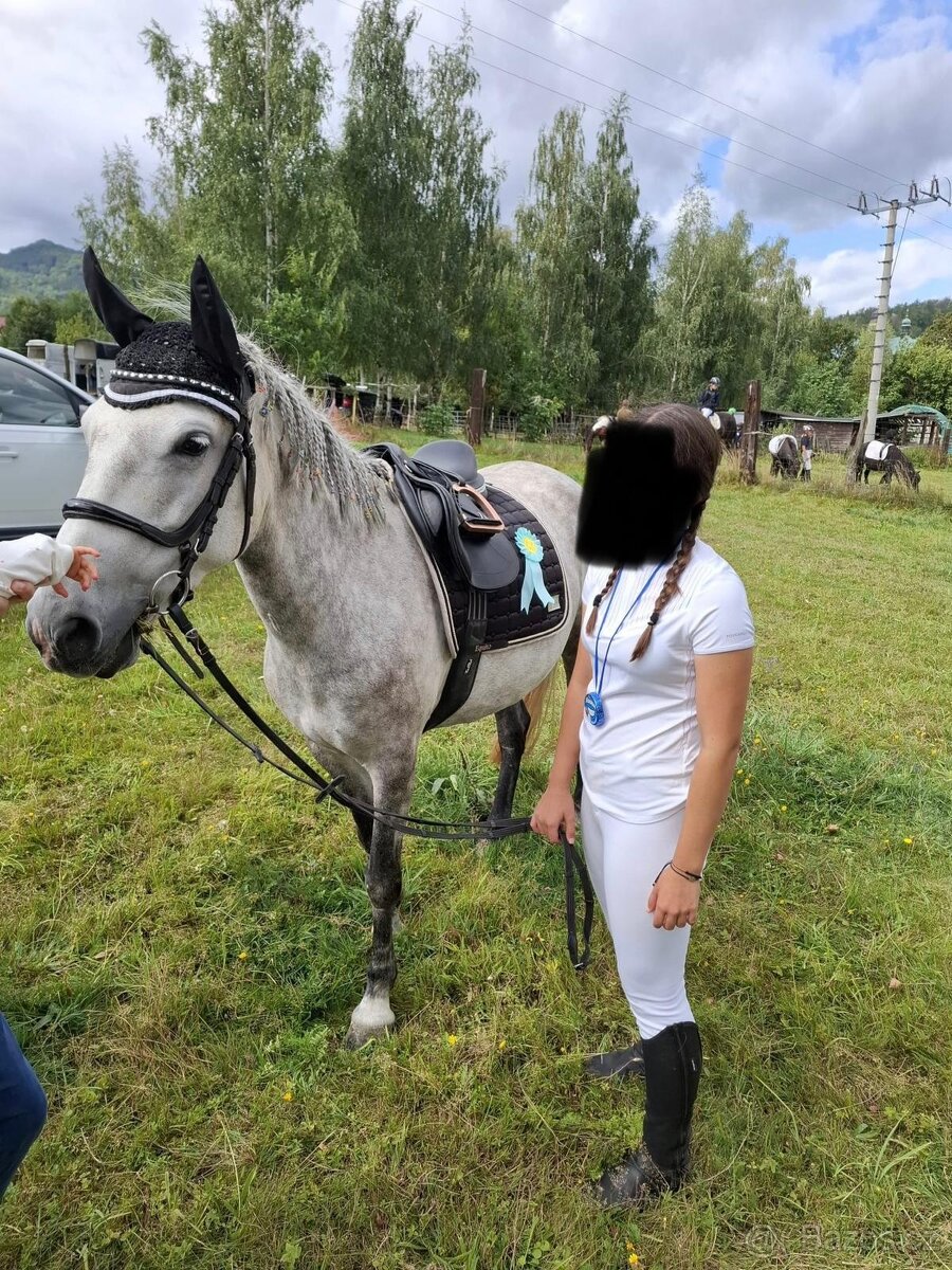 6letá pony do sportu - 3