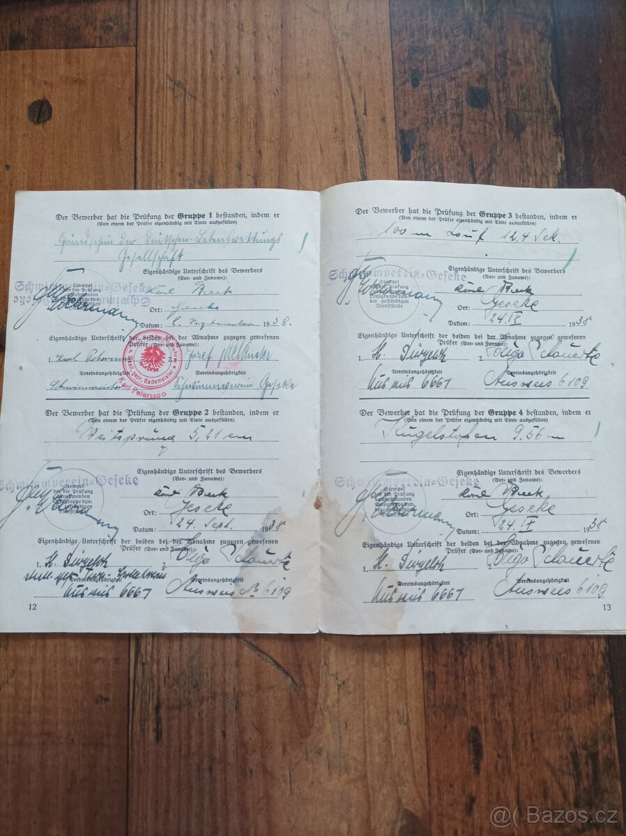 Odznak, miniatura DRL (bronz) + knížka - 3