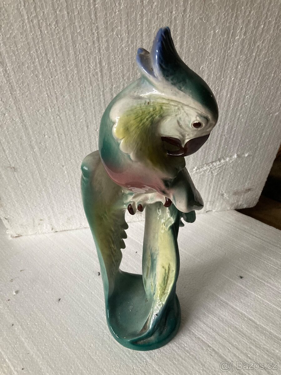 Prodám sošku papouška - 3