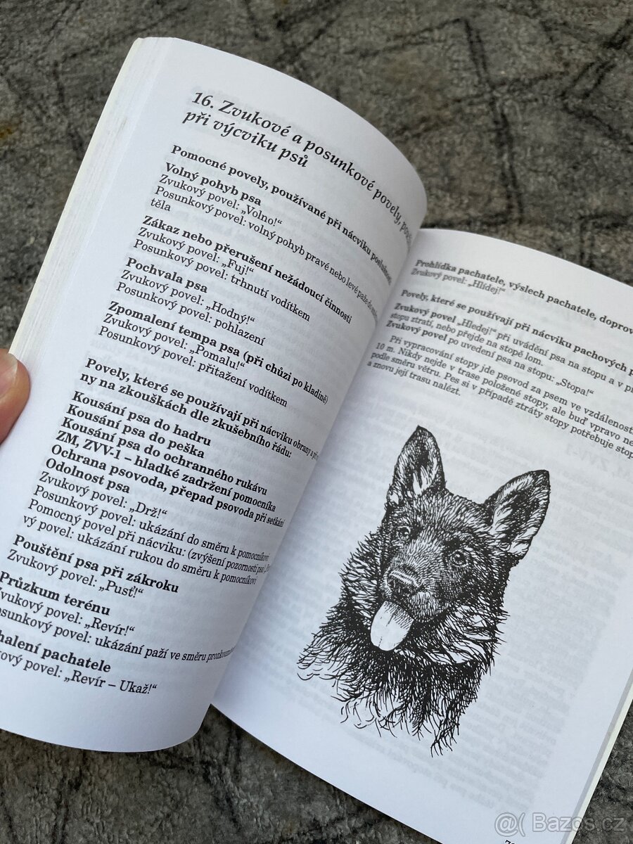 Psí škola hrou - 3