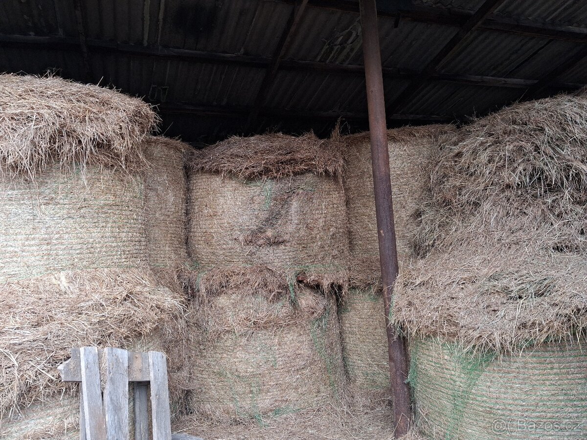 Seno kulate baliky - 3