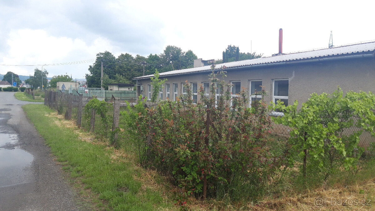 Pronájem komerčního objektu v Mohelnice - 3