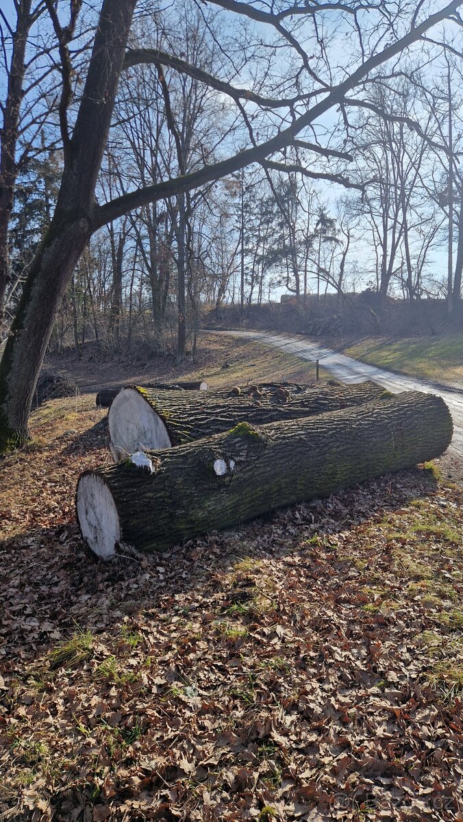 Dubová kulatina - 3