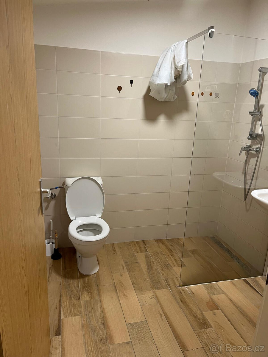 Pronájem bytu 1kk Vizovice - 3