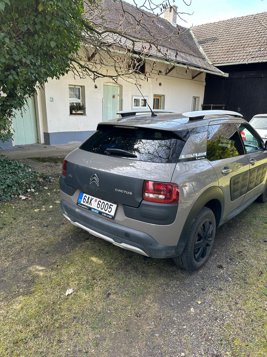 Citroen C4 Cactus Rip Curl - 2017 - 3