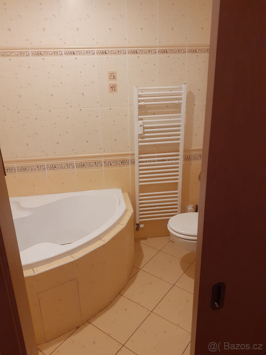 Pronájem bytu 2,5+kk - 3