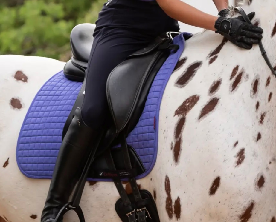 Dečka LeMieux Suede DR full - 3