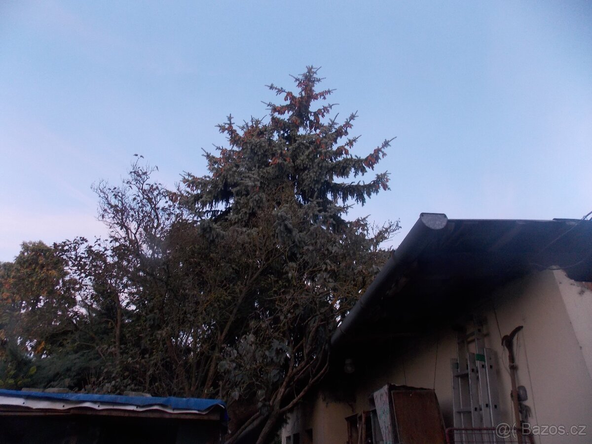 Levně prodám - 3