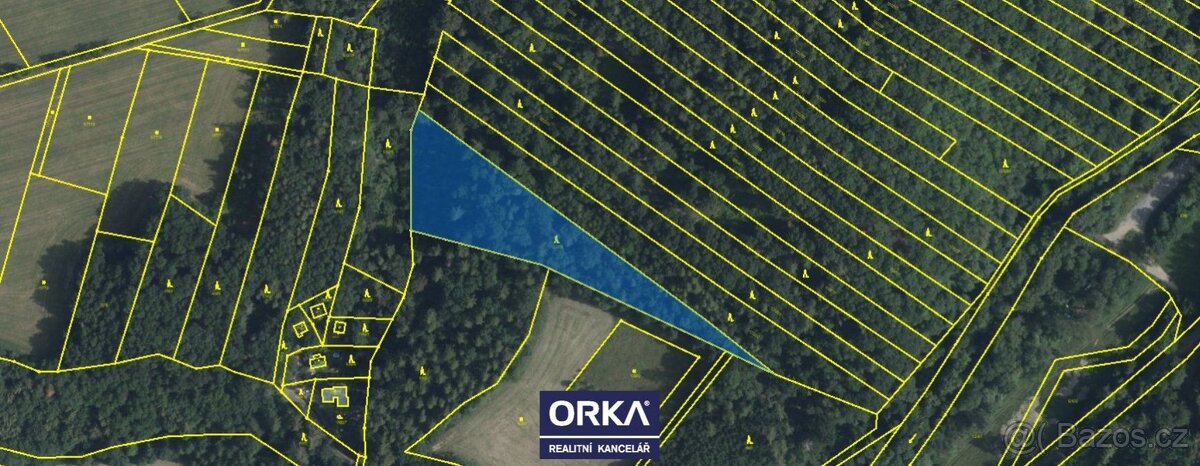 Prodej lesy, 6 823 m2 - Bělkovice-Lašťany - 3